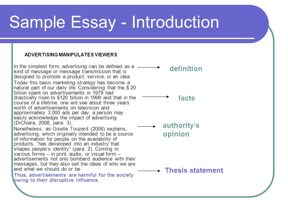 Essay Introductions